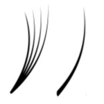 Hybrid Lash Extensions at Firefly Spa in San Diego